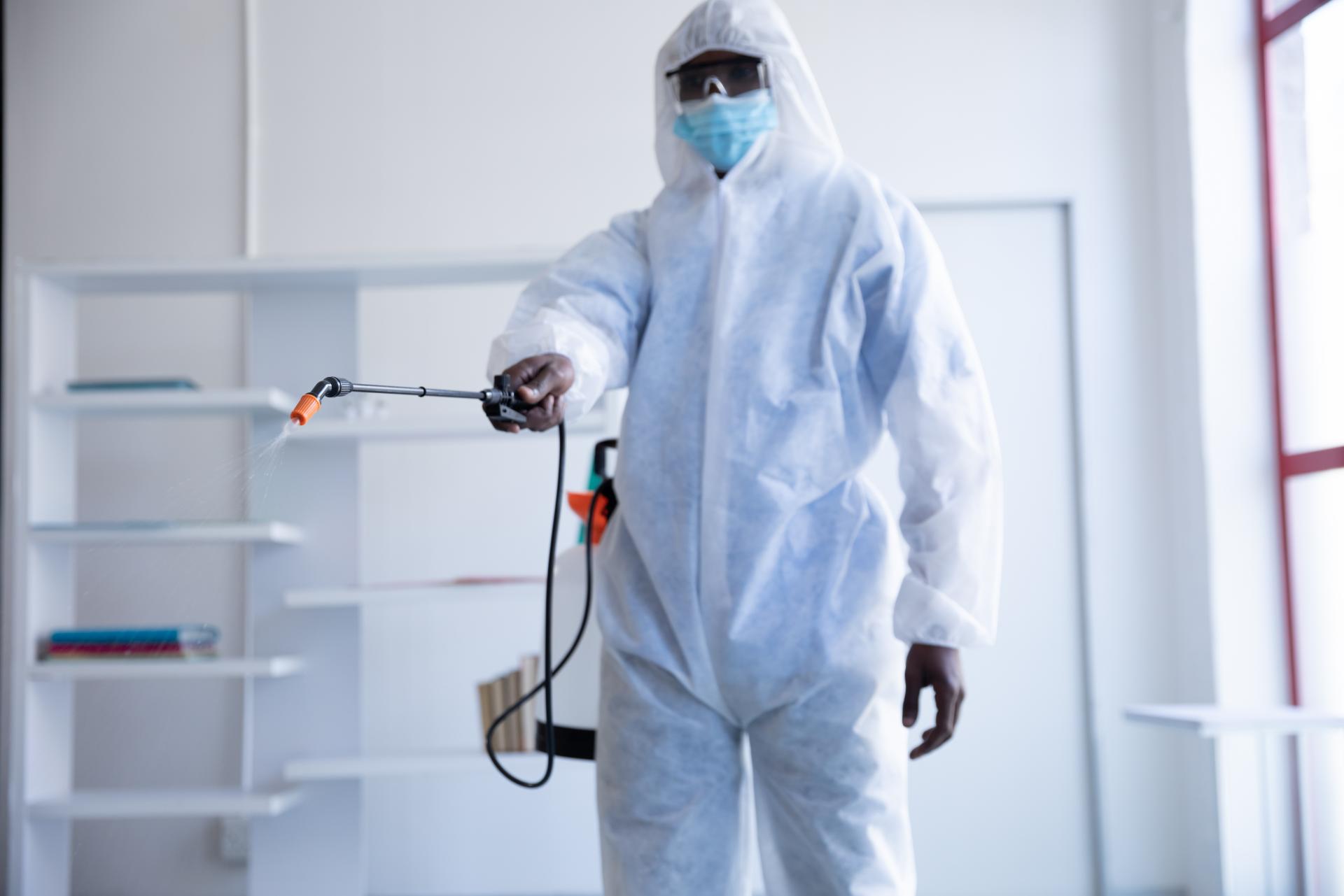 Ant control treatment