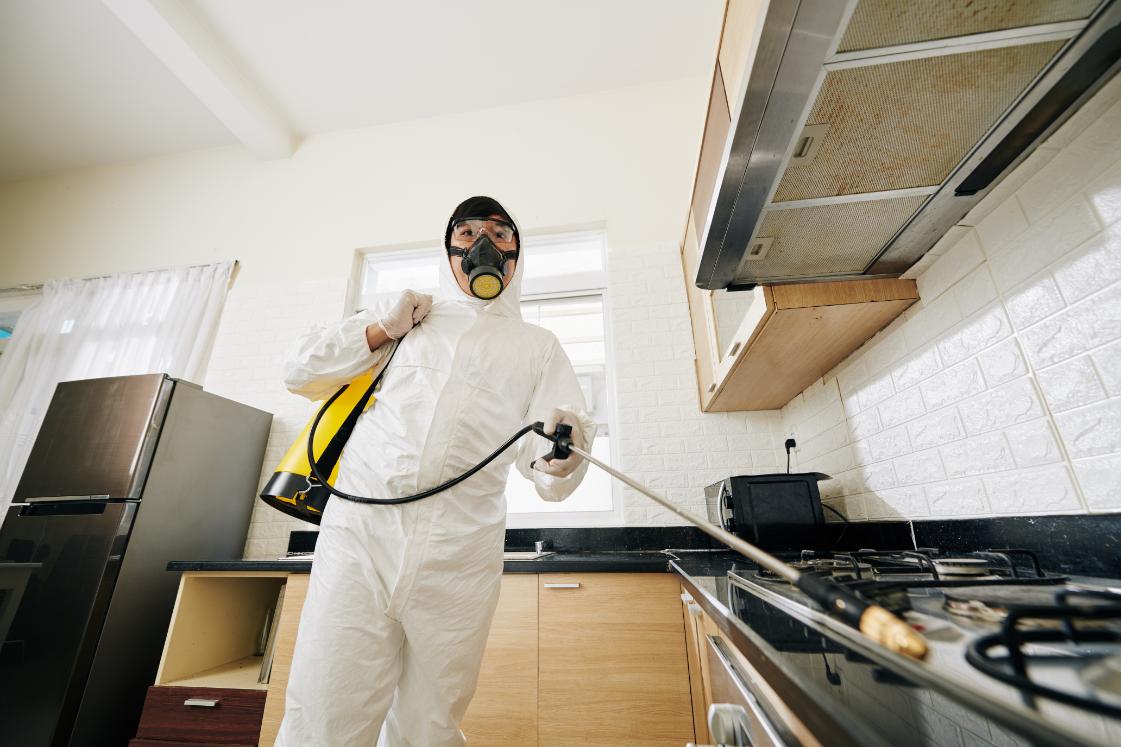 Cockroach control treatment
