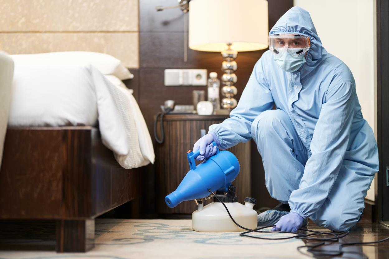Professional bed bug treatment