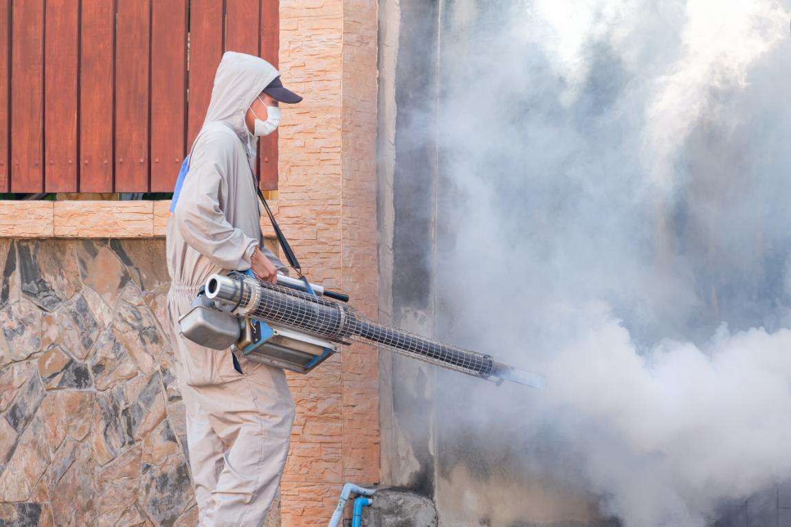 Spider control service